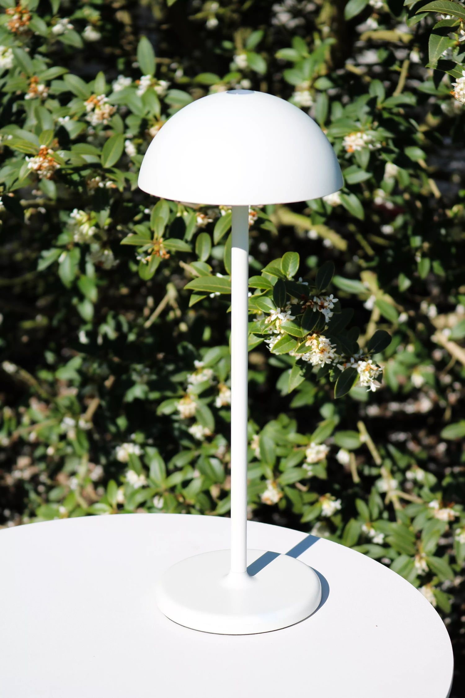 Lampe