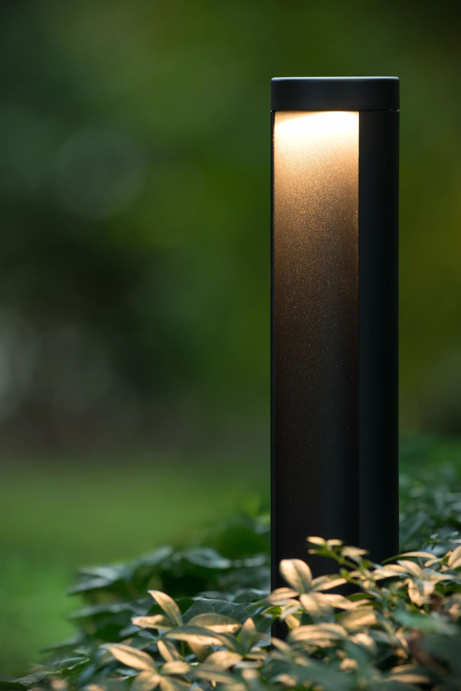 Lampe