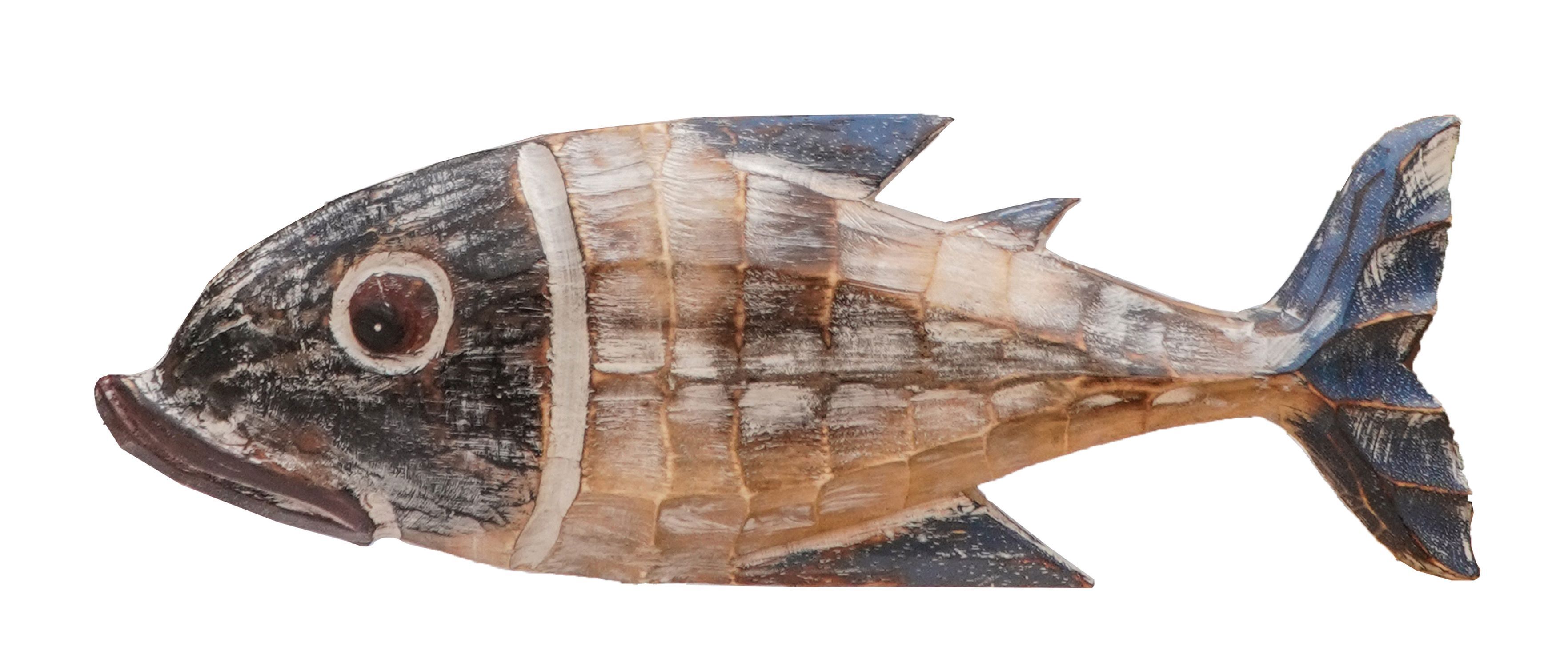 Tier, Fische, Leben im Meer, Thunfisch, Bonito