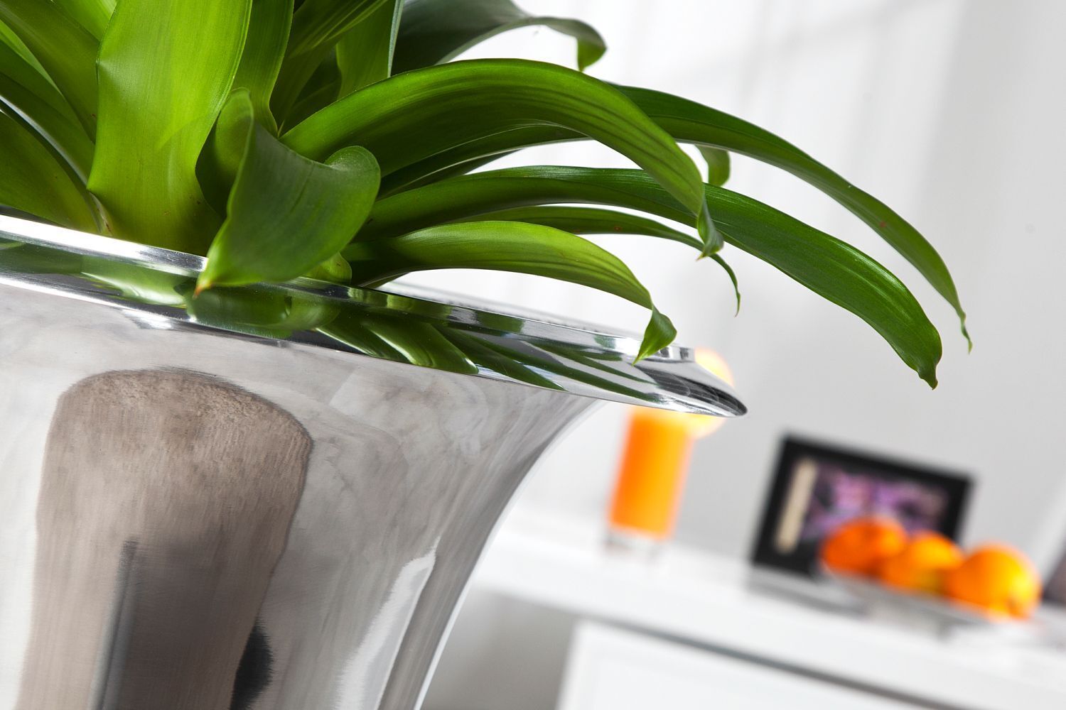 Vase Metall Ø 35 cm H: 60 cm in Silber Pflanze, Pflanze im Topf, Blatt, Glas, Pflanzgefäß