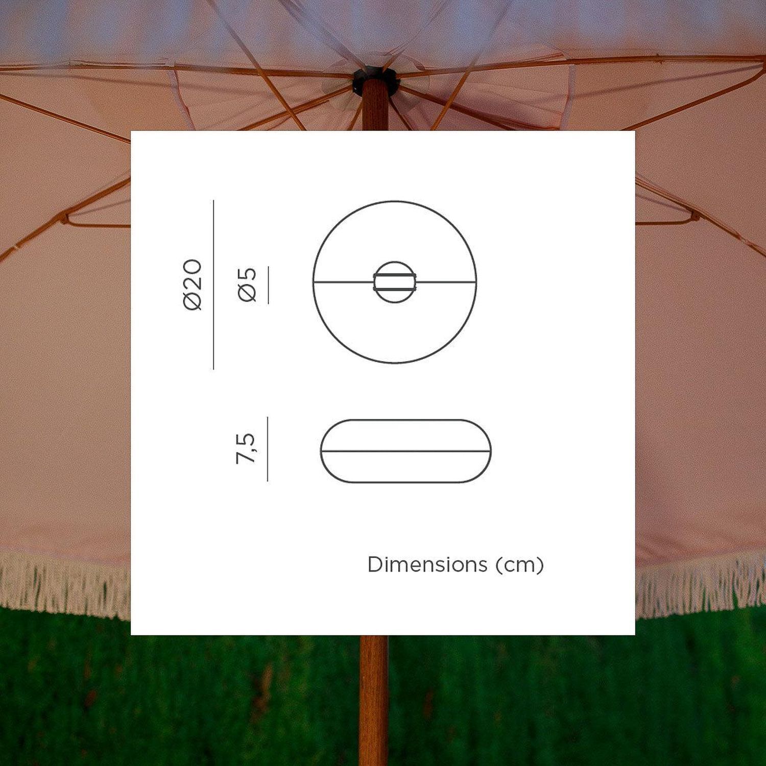 Baldachin, Visitenkarte, Papier, Text