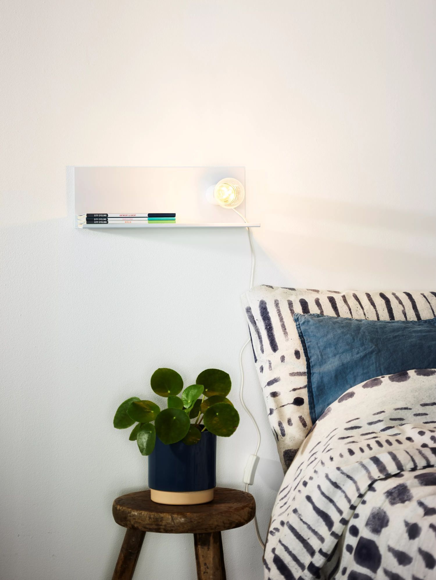 Pflanze, Lampe, Mobiliar, Inneneinrichtung