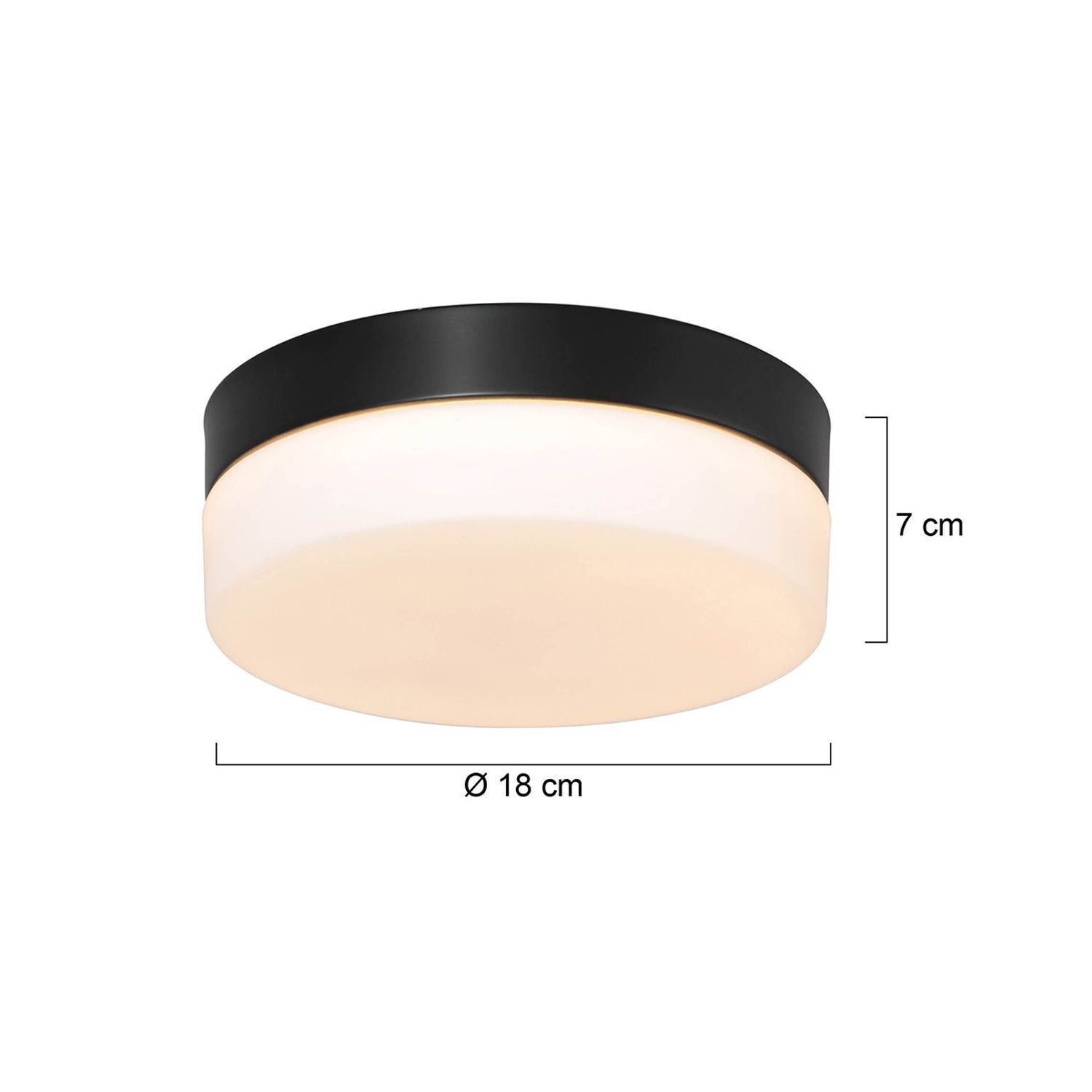 Plafonnier LED rond verre métal IP44 Ø18 cm 12 W