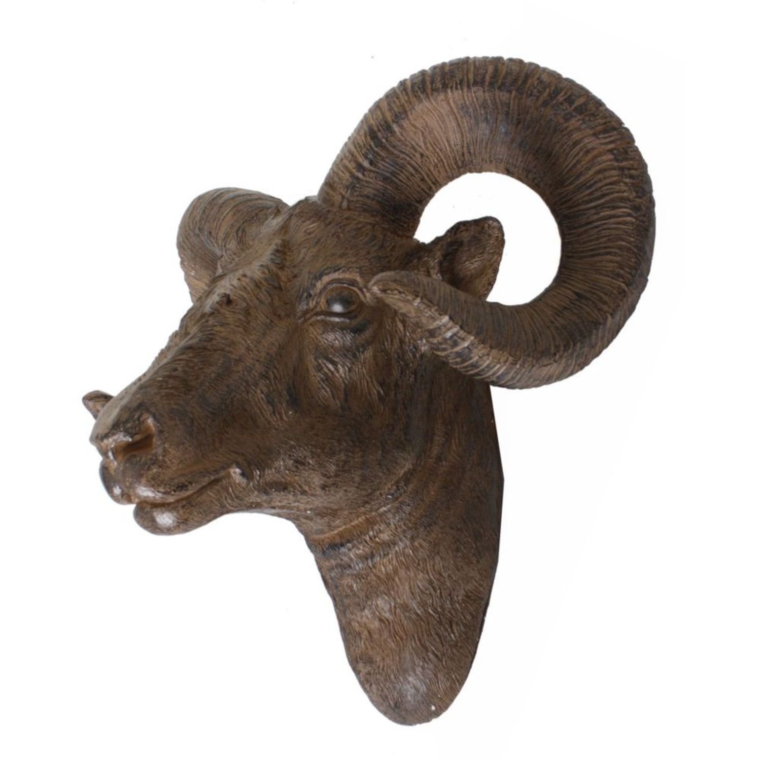 Tier, Büffel, Säugetier, Tierwelt