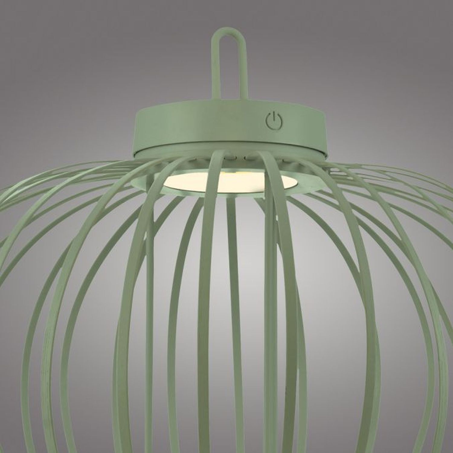 Lampe, Leuchte, Pflanze