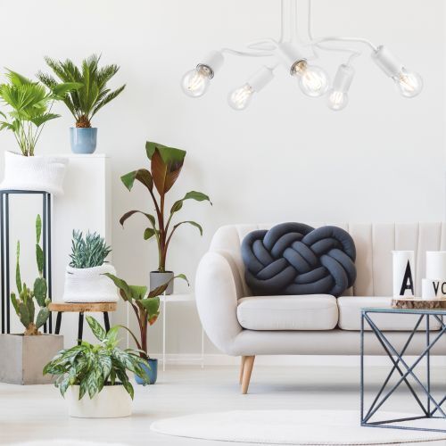 Pflanze, Pflanze im Topf, Wohnzimmer, Couch, Lampe