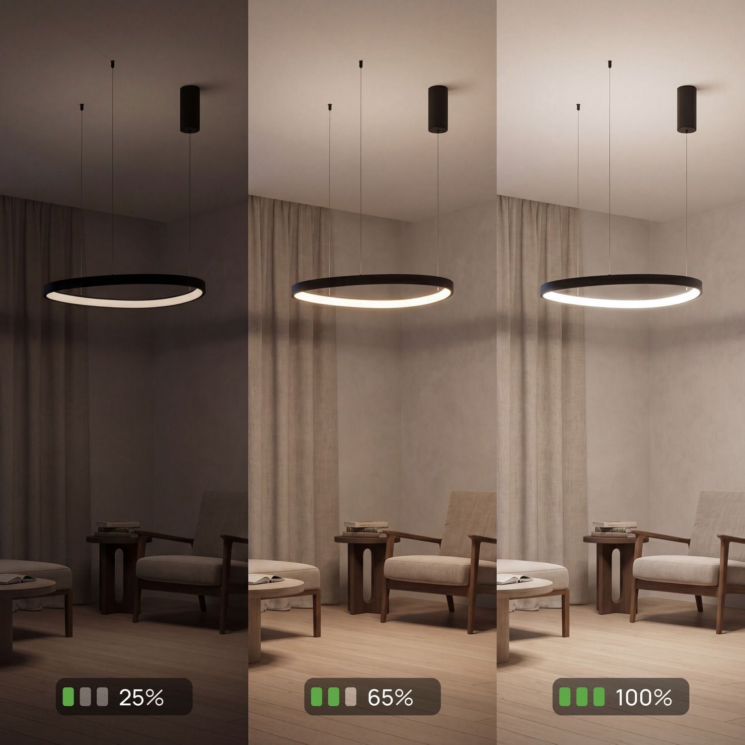 LED Lampe à suspendre noire anneau L:65 cm 3000/4000/6500 K Pendelleuchte, Ringlampe, Deckenlampe, modern, Wohnzimmer