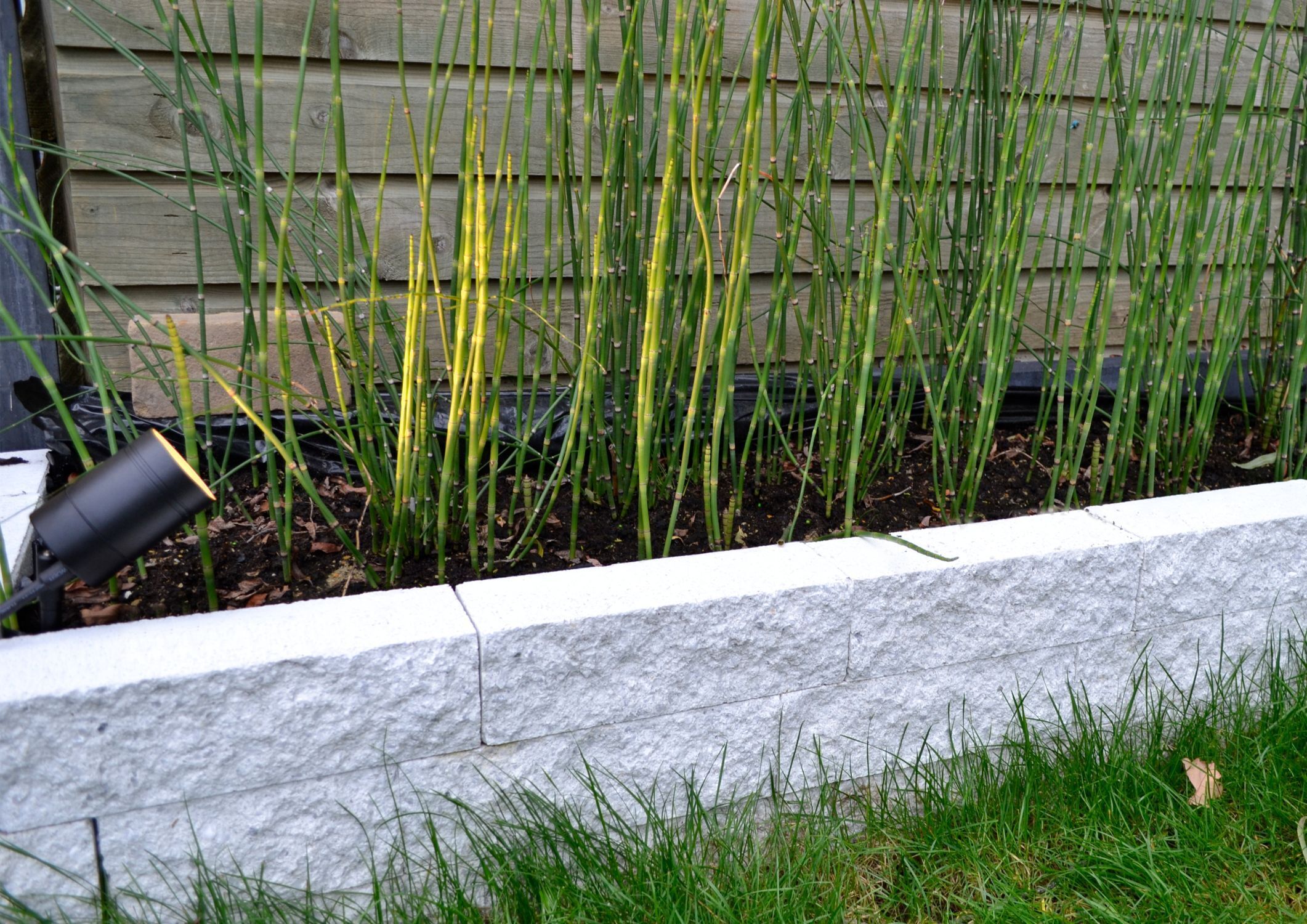 Erdspießstrahler Stahl Schwarz GU10 H:36 cm flexibel Ziergras, Bambusgras, Beetbegrenzung, Steinmauer, Gartenpflanze