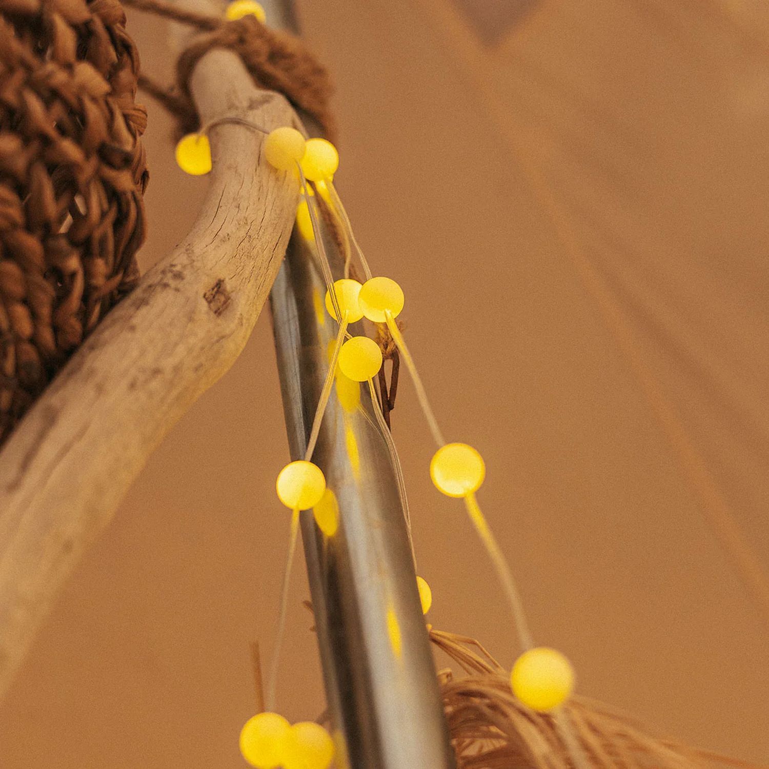 Blume, Blütenblatt, Pflanze