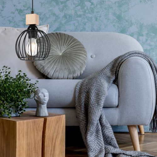 Couch, Kissen, Dekoration für Zuhause, Pflanze, Lampe