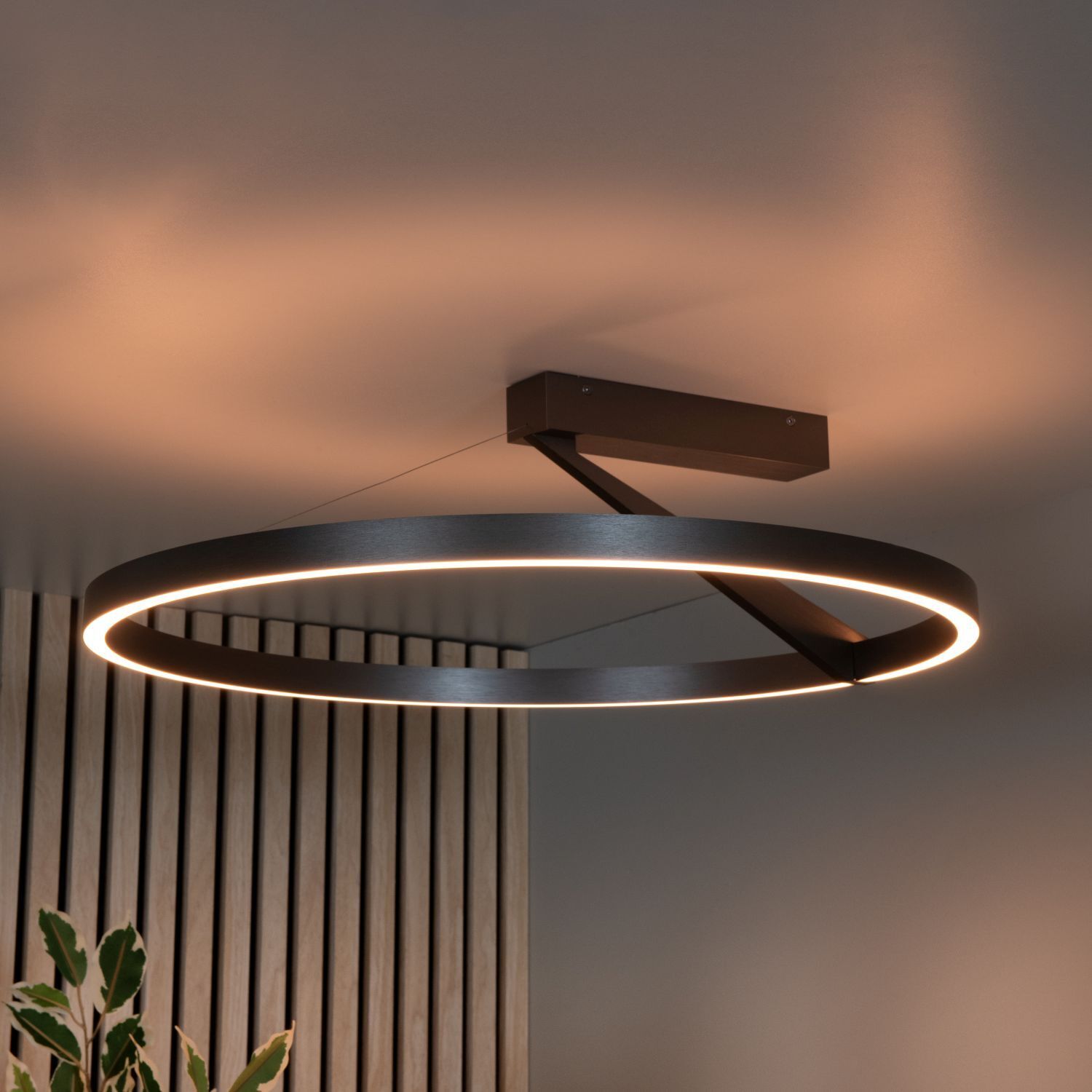 Ringlicht, hängende Lampe, LED-Licht, moderner Kronenring, dimmbares Licht