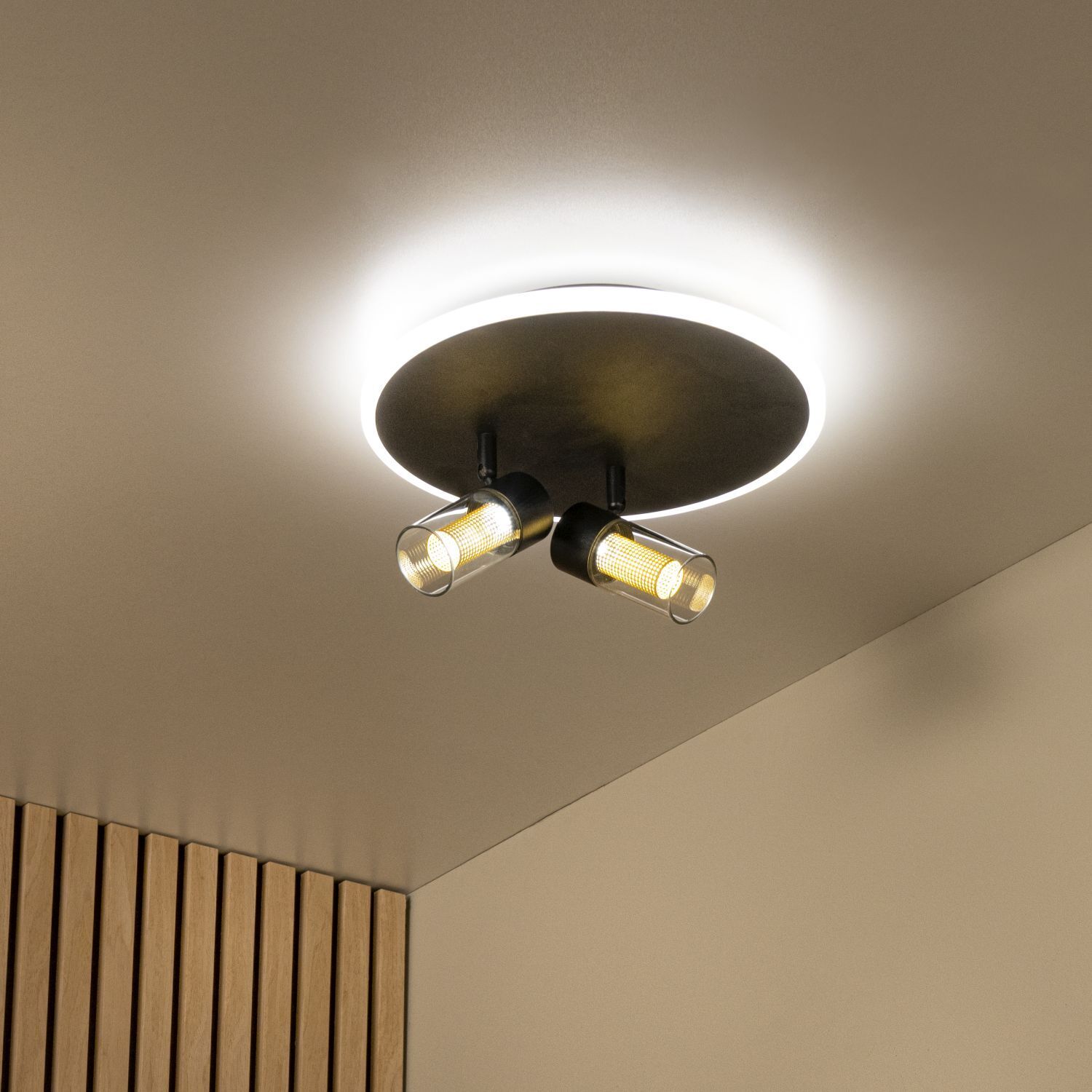 LED Deckenleuchte 2200 K B:30 cm Fernbedienung edel Deckenleuchte, Spotlight, Zweiflammig, runder Deckenmasken, warme LED