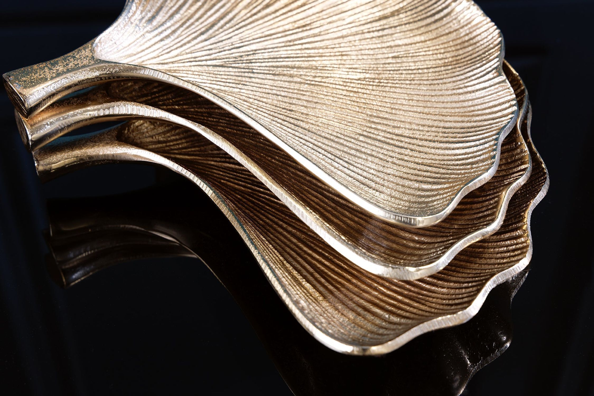 Wirbellose, Leben im Meer, Muschel, Kleidung, Hut