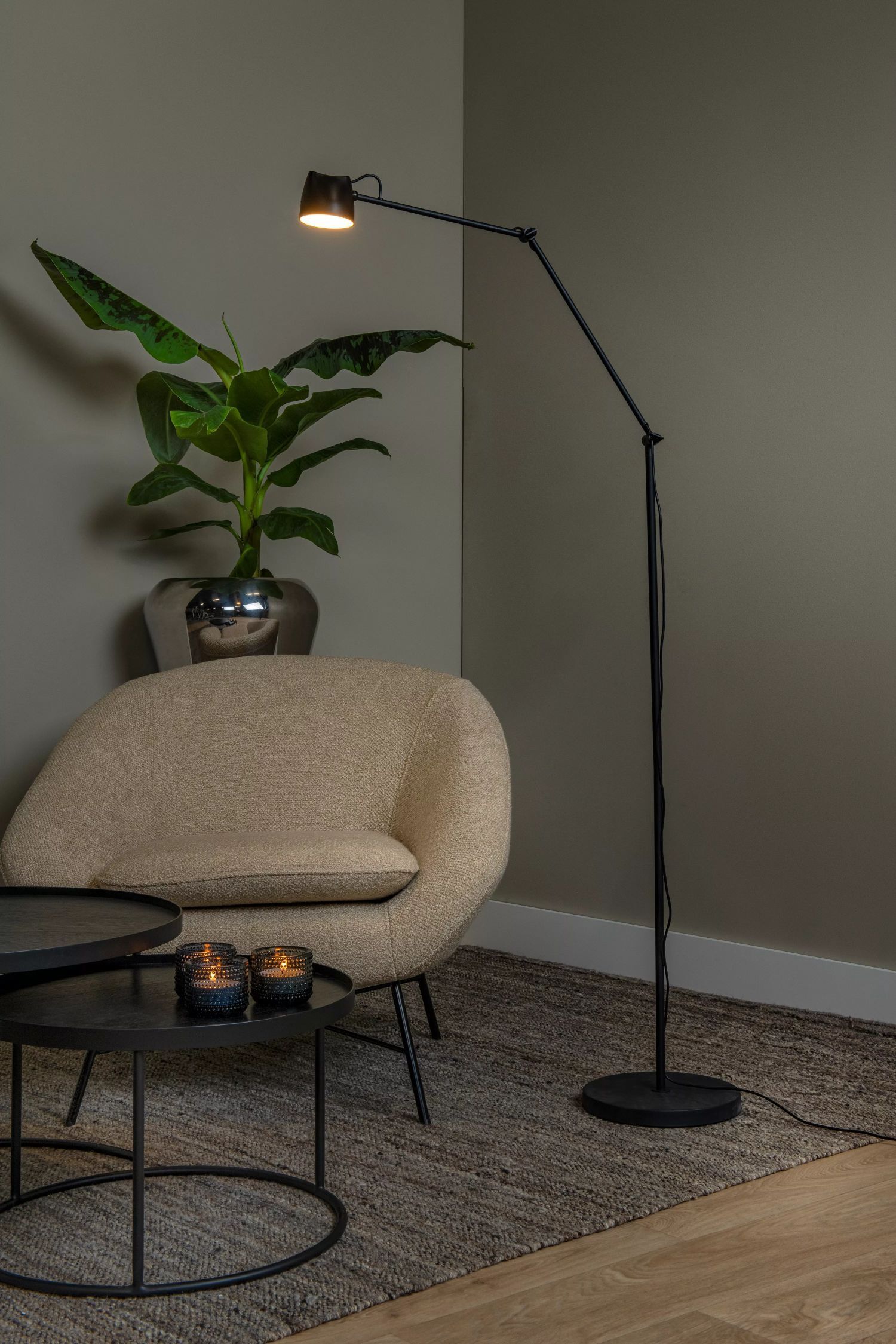 Lampe, Stehlampe, Pflanze