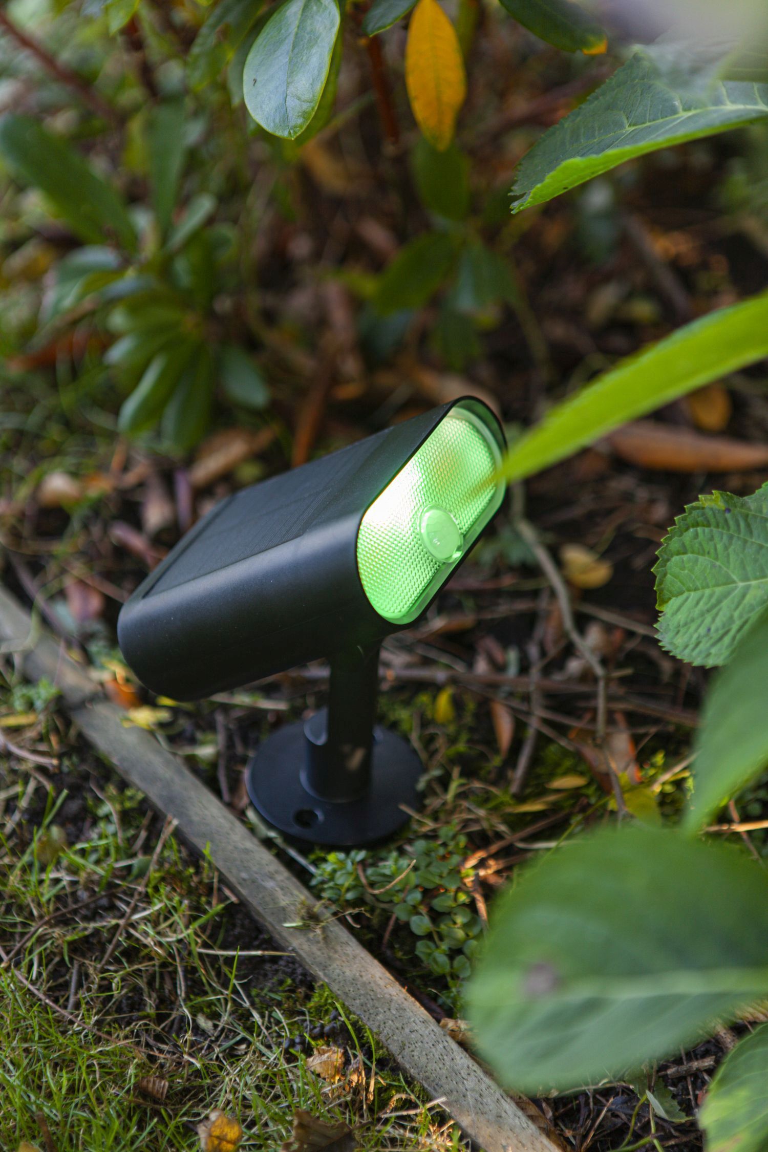 Beleuchtung, Lampe, Licht