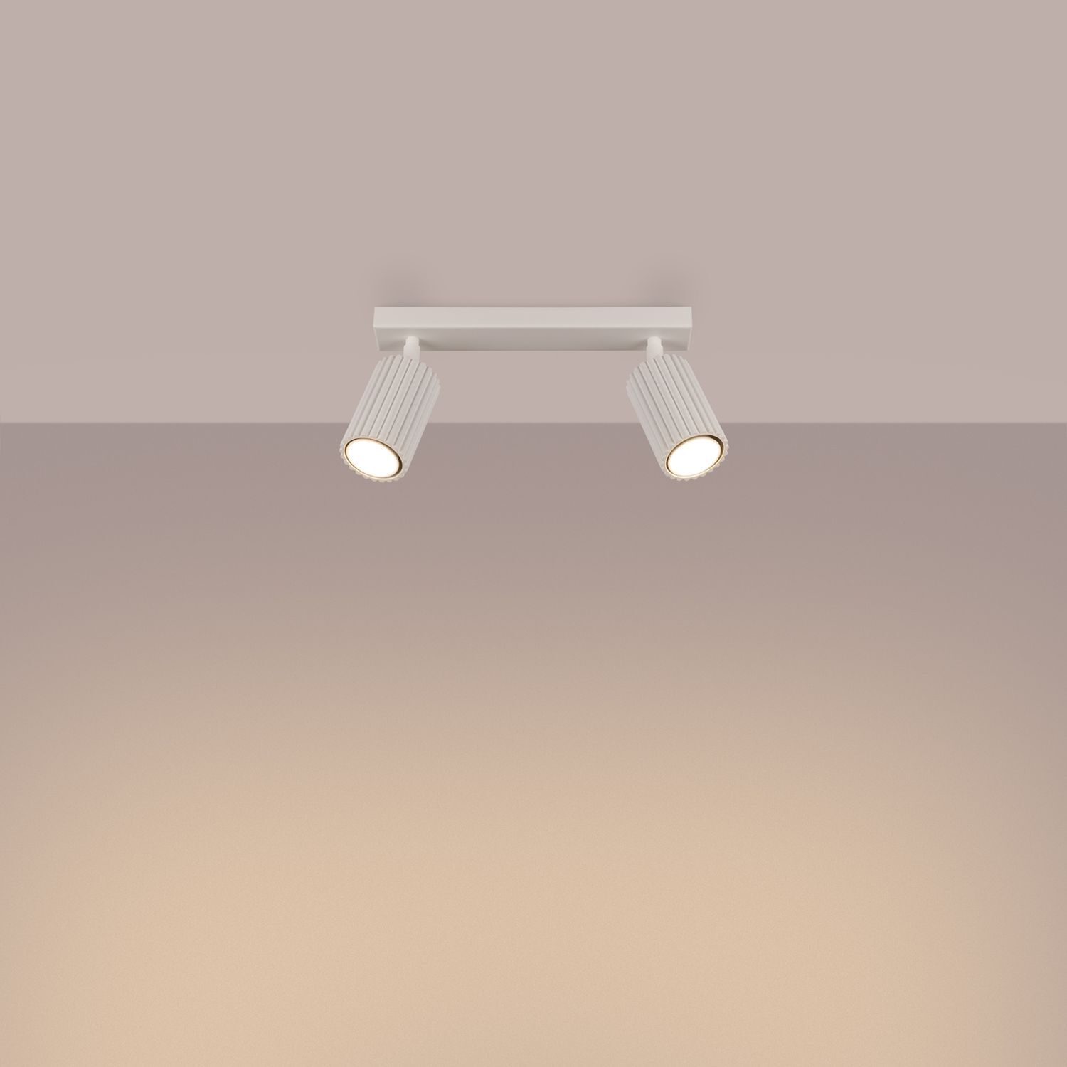 Deckenleuchte, Leuchte