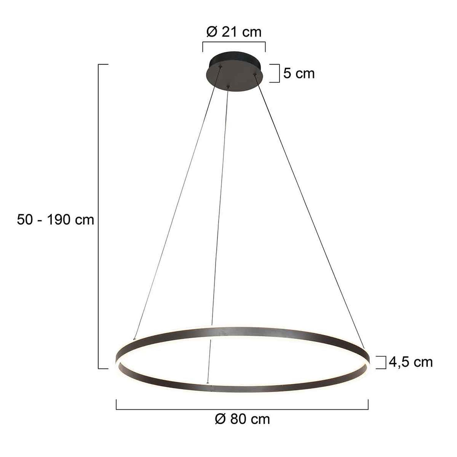 Lampe à suspendre LED métal plastique 80 cm rond 60 W 2700 K