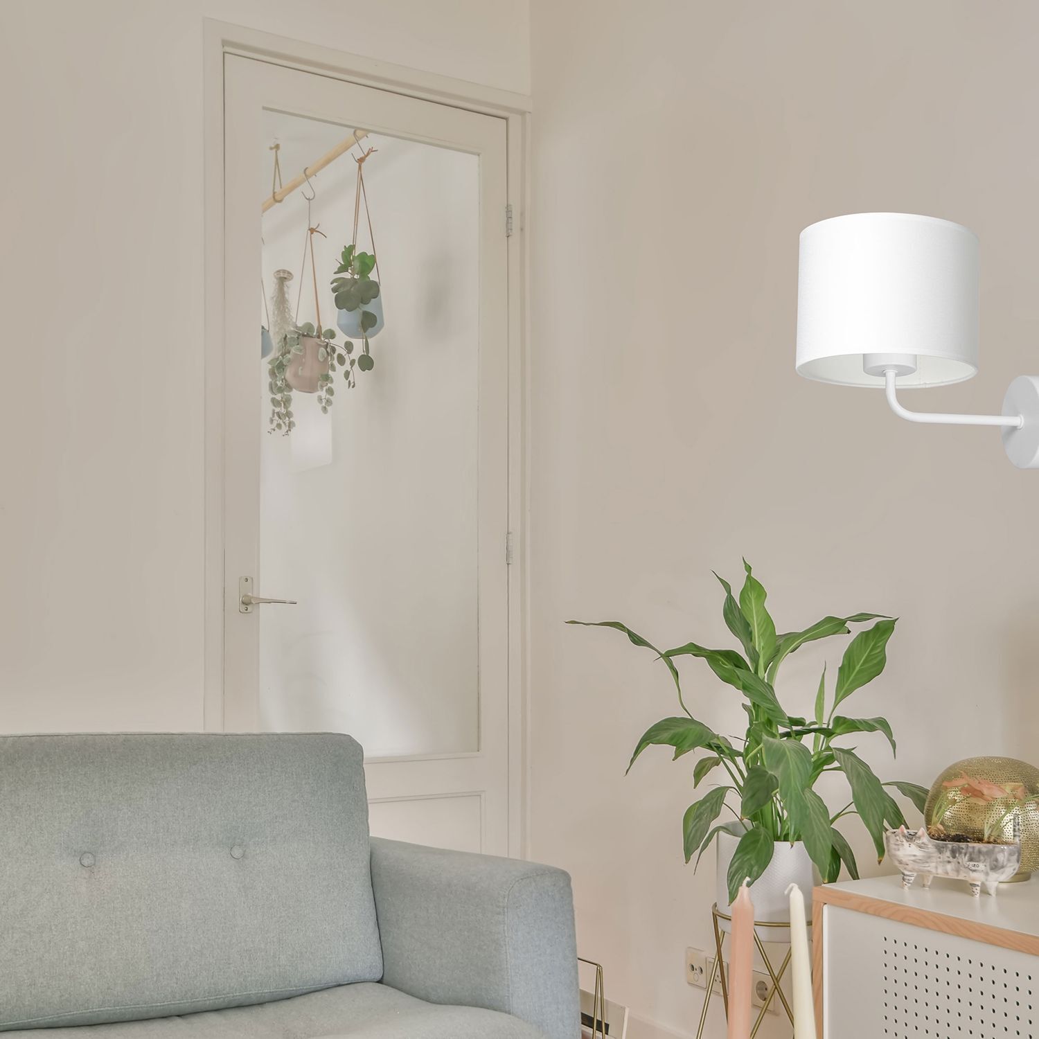 Lampe, Pflanze, Pflanze im Topf, Drinnen, Innenarchitektur