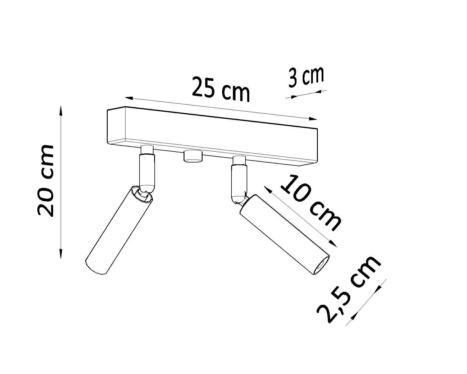 Projecteur de plafond SARGAS blanc 25 cm de large petit 2 flammes