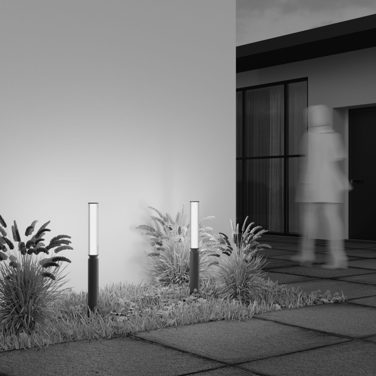 Fußboden, Pfad, Bodenbeläge, Person, Topfpflanze