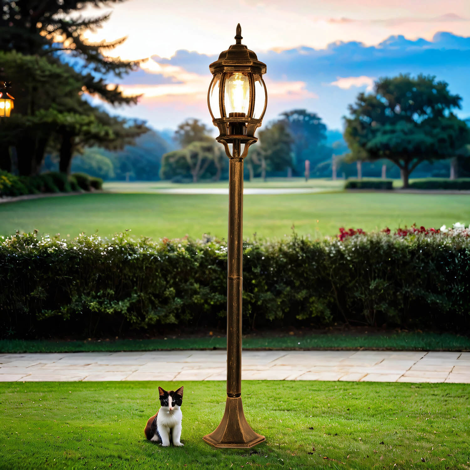 Gras, Pflanze, Laternenpfahl, Katze, Lampe