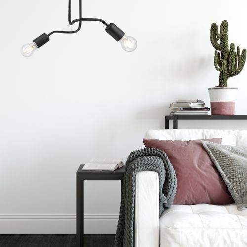 Lampe, Pflanze