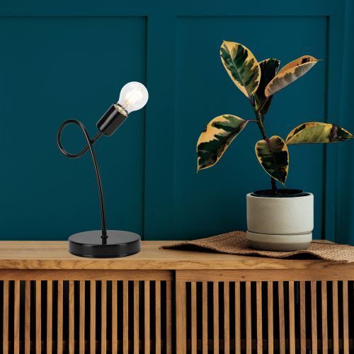 Lampe, Pflanze, Pflanze im Topf, Tischlampe