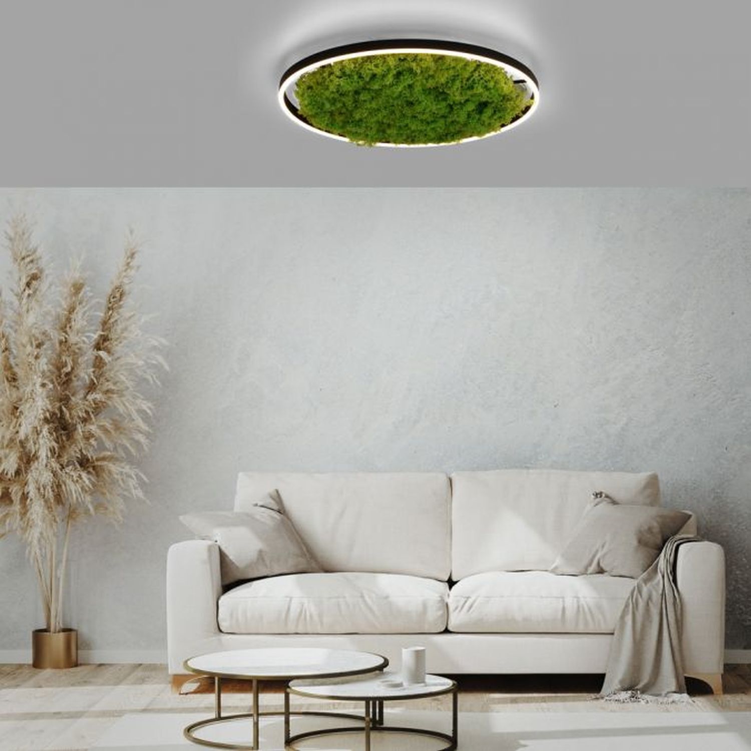 Wohnzimmer, Dekoration Ihres Zuhauses, Innenarchitektur, Couch, Deckenleuchte