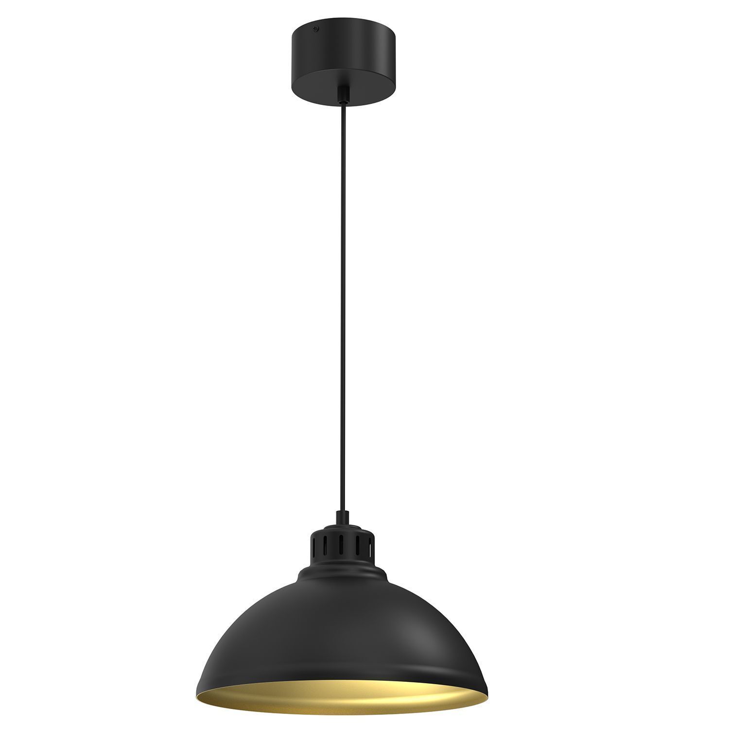 Loft Lampe à suspendre Noir Or Métal Ø30 cm accentué