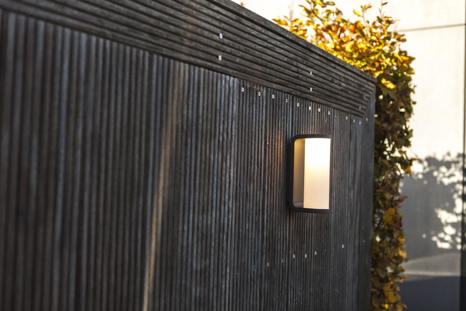 Drinnen, Innenarchitektur, Paneele aus Holz