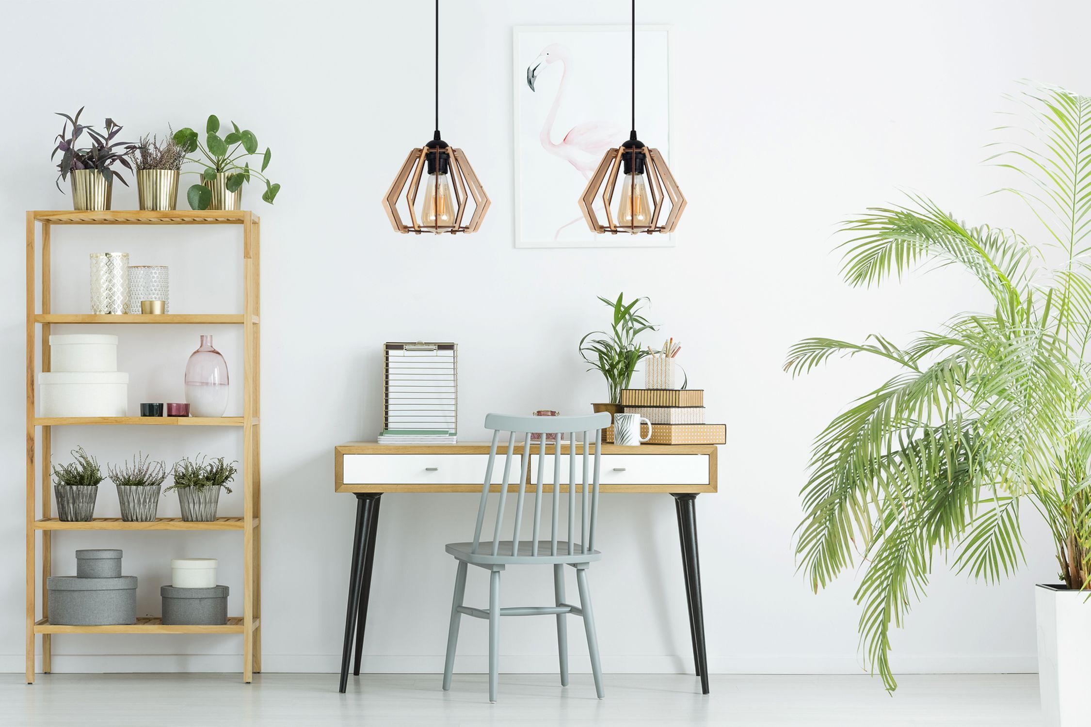 Moebel, Tabelle, Innenarchitektur, Esstisch, Pflanze