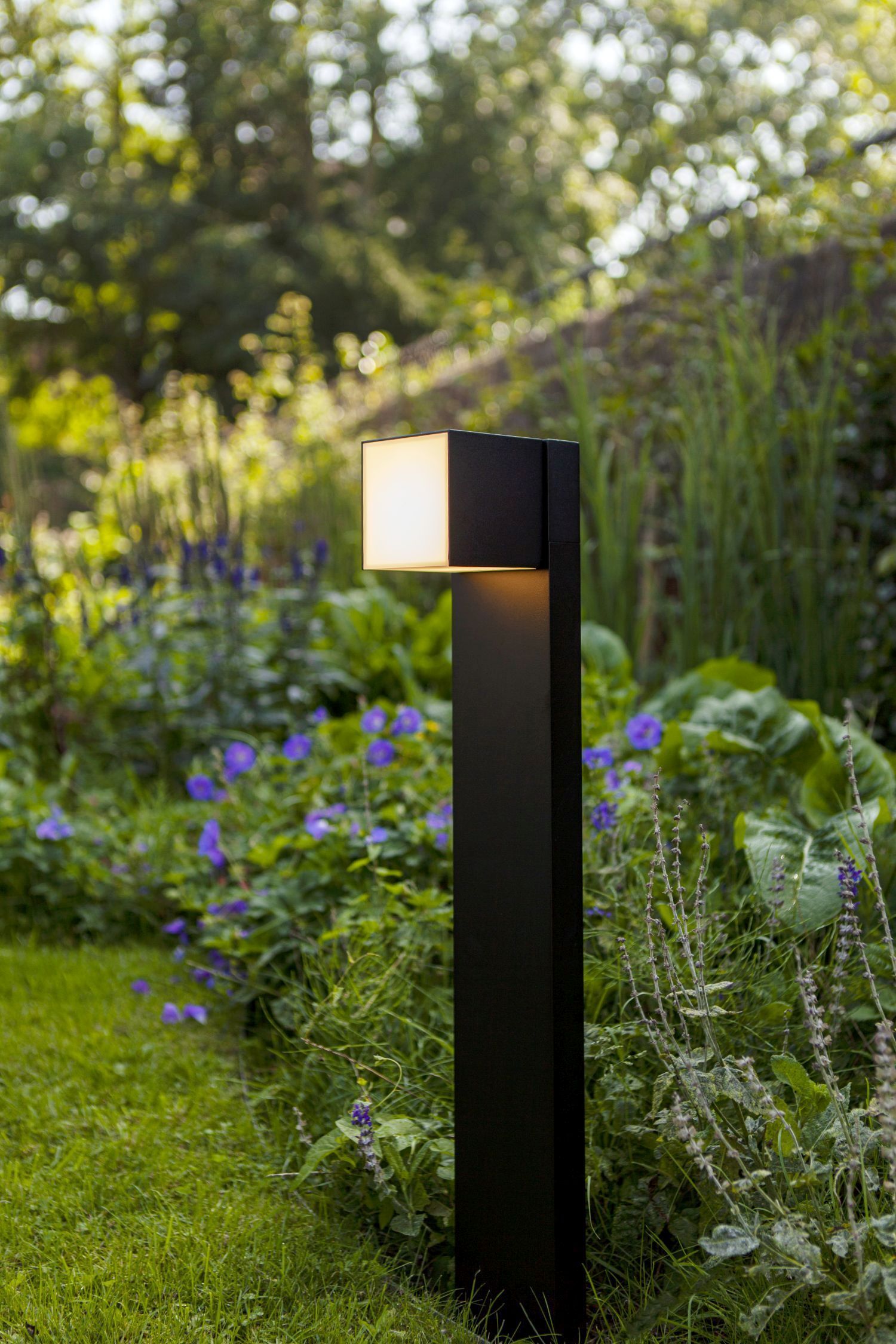 Lampe