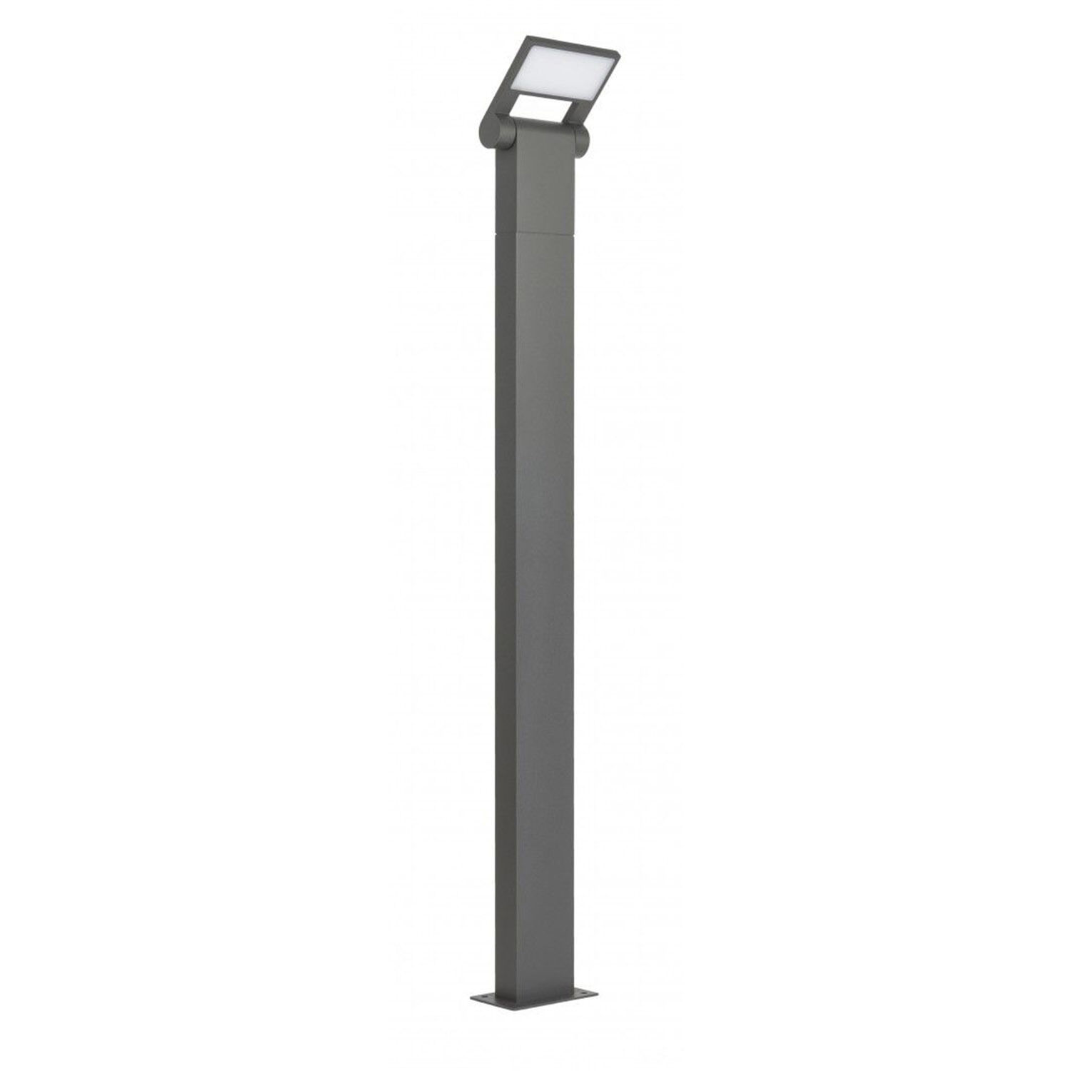 Lampe d'allée à LED Anthracite IP54 4000K 600 lm 100 cm