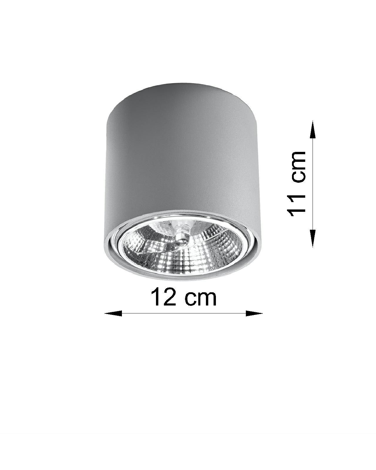 Spot de plafond gris JASMYNN Ø12cm GU10 métal couloir