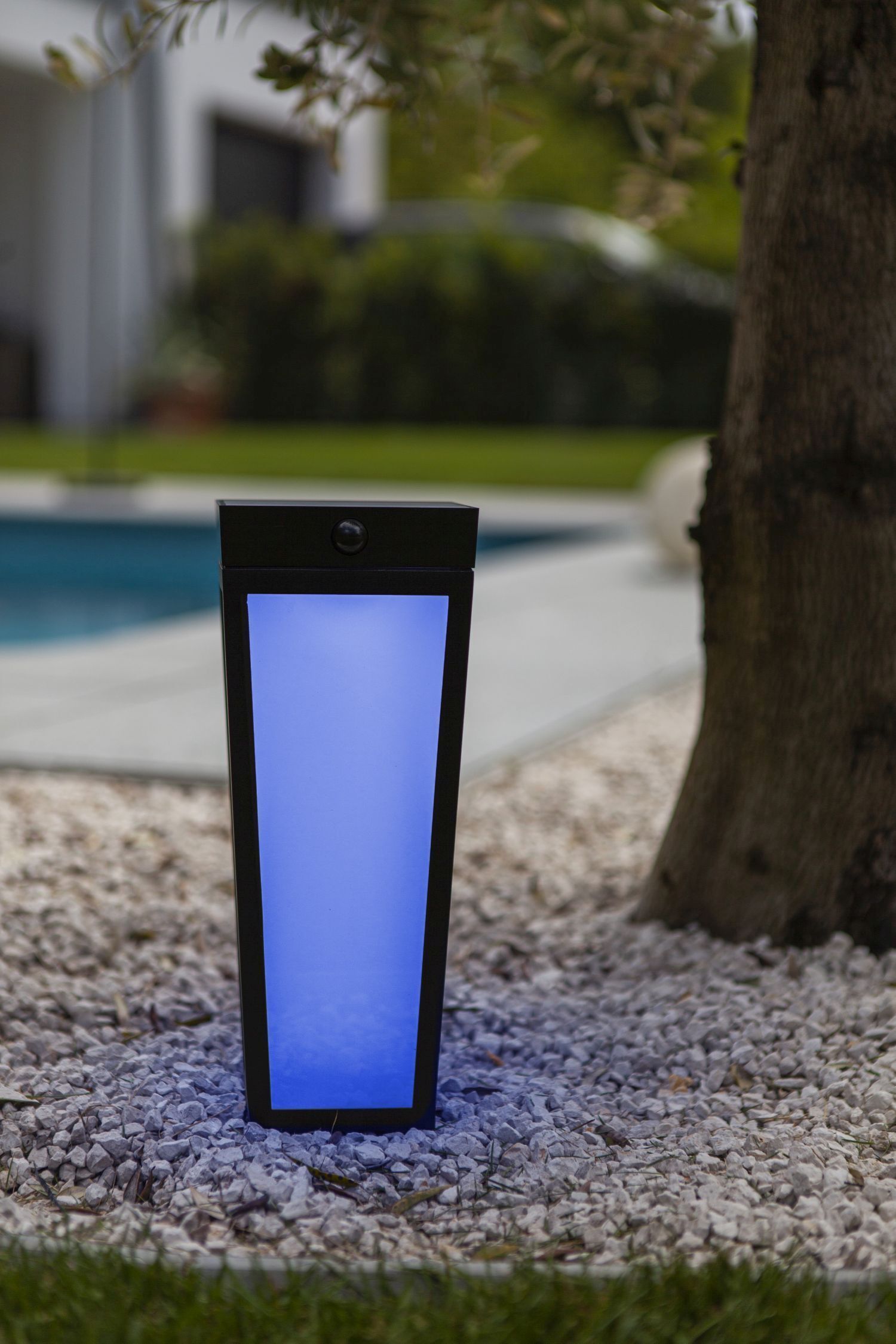 Projecteur solaire à LED sur piquet IP44 RGB Détecteur de mouvement