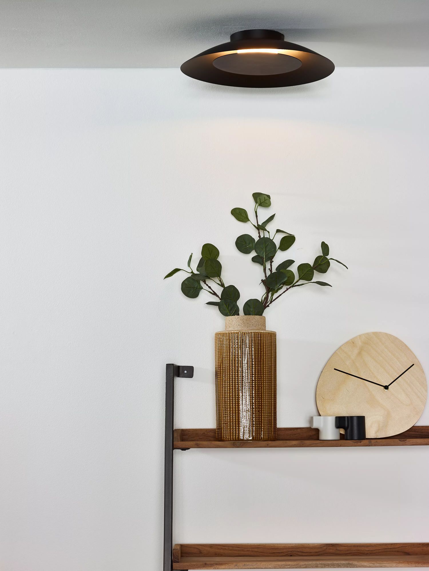 Pflanze, Lampe