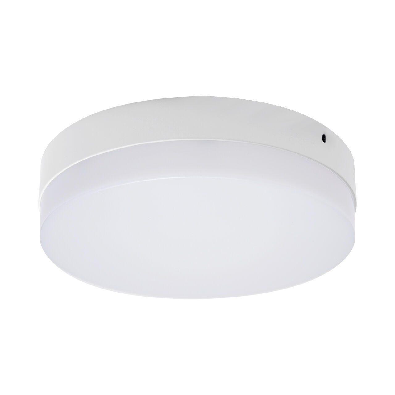 Lampe de plafonnier LED Blanc rond D : 22 cm 4000 K 2780 lm
