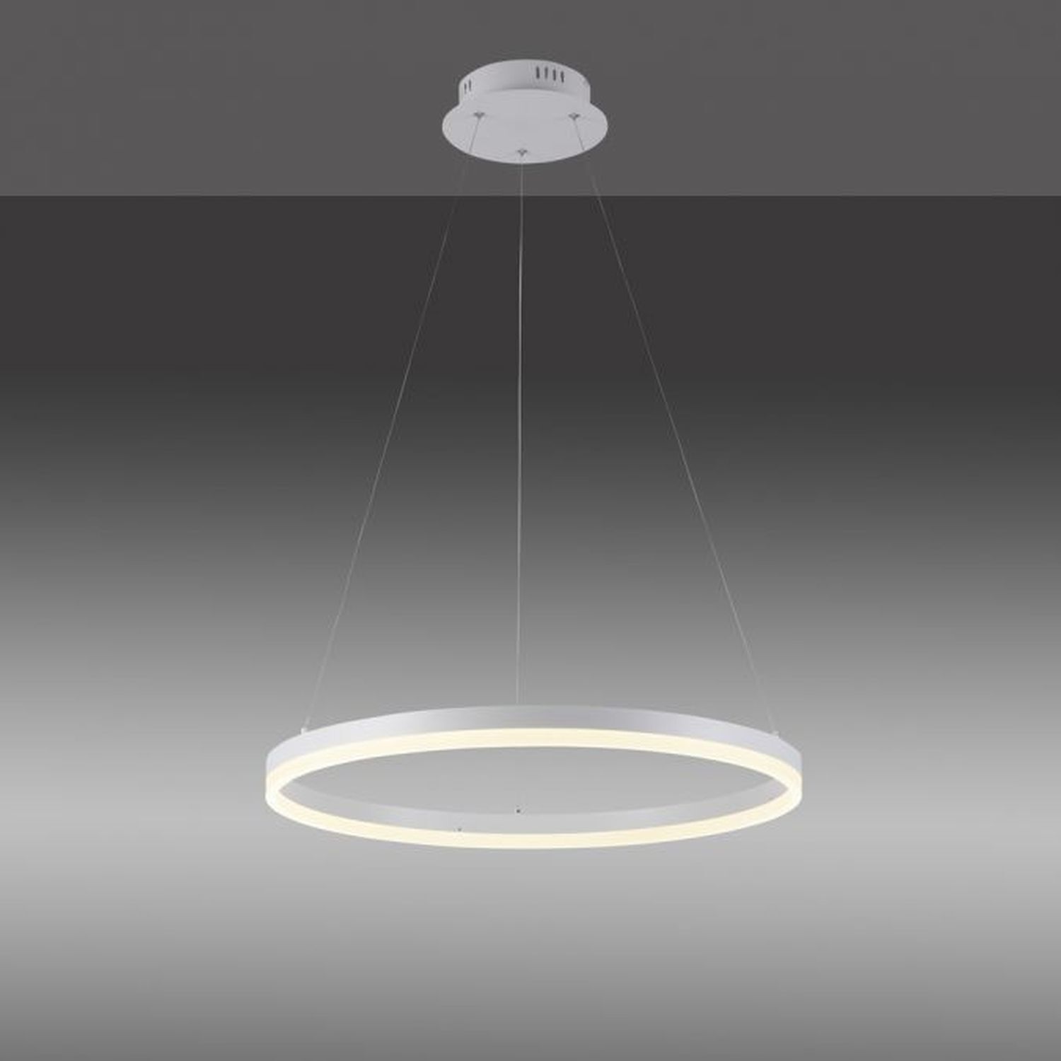 Suspension LED Blanc dimmable 38 W 3000 K Ø60 cm Anneau Deckenleuchte, Kronleuchter, Lampe