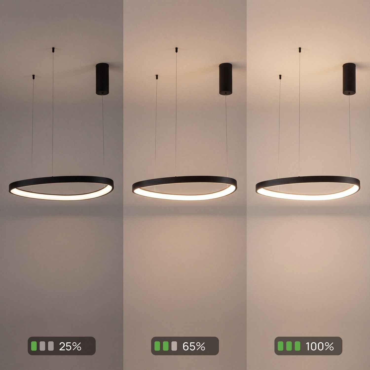LED Lampe à suspendre noire anneau L:65 cm 3000/4000/6500 K hängendeLeuchte, Kreislampe, LED-Lampe, Beleuchtung, ModerneLampe