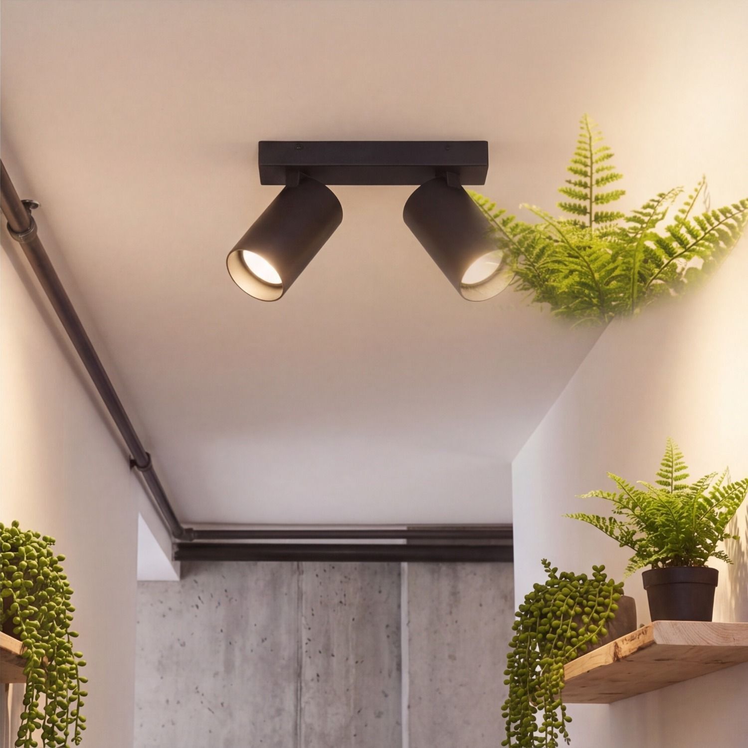 deckenlampe, spotlights, zwei-licht, schwarz, pflanzenhalterung