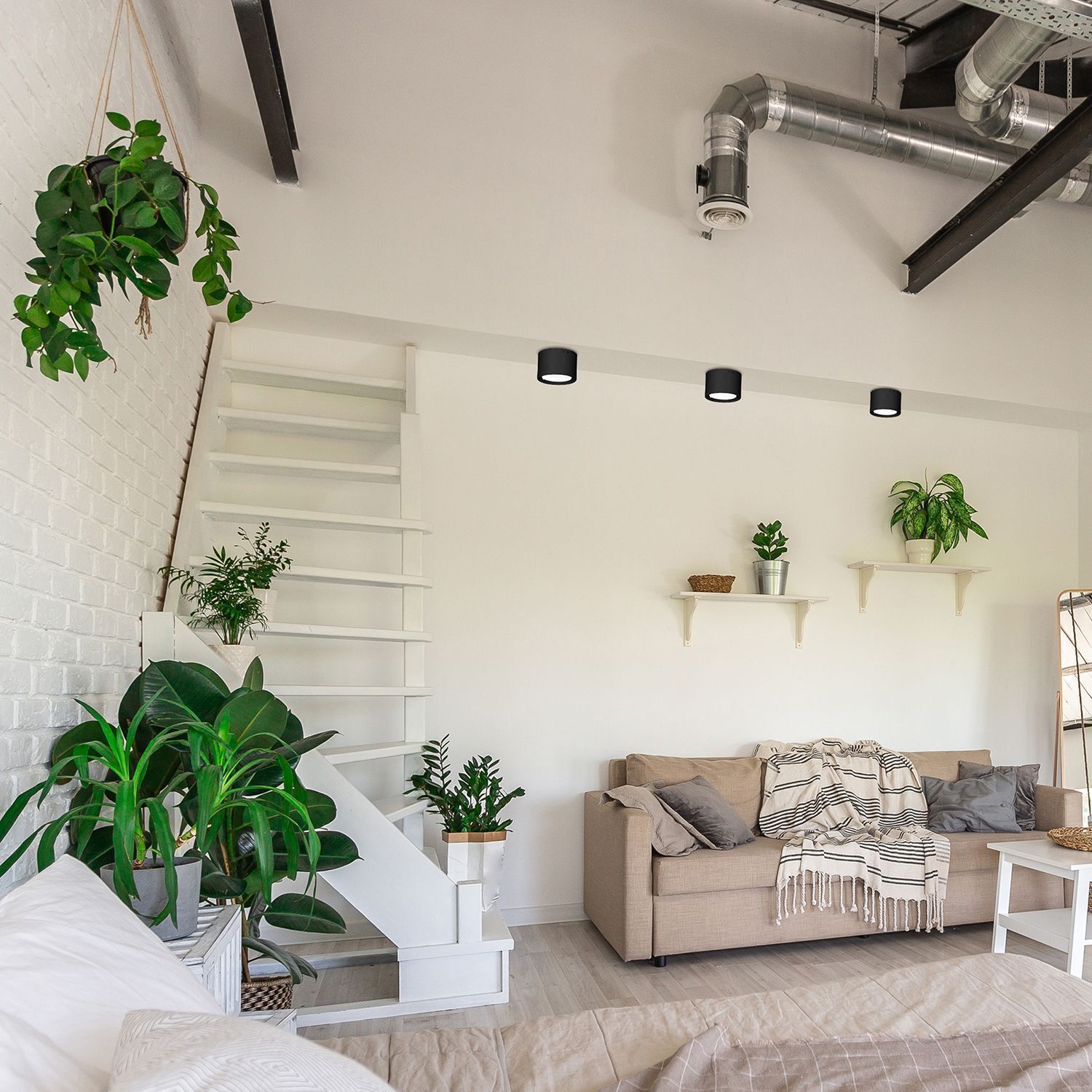 Spot de plafond LED noir métal Ø5,8 cm 4000 K 450 lm Pflanze, Pflanze im Topf, Dekoration für Ihr Zuhause, Wohnzimmer, Innenarchitektur