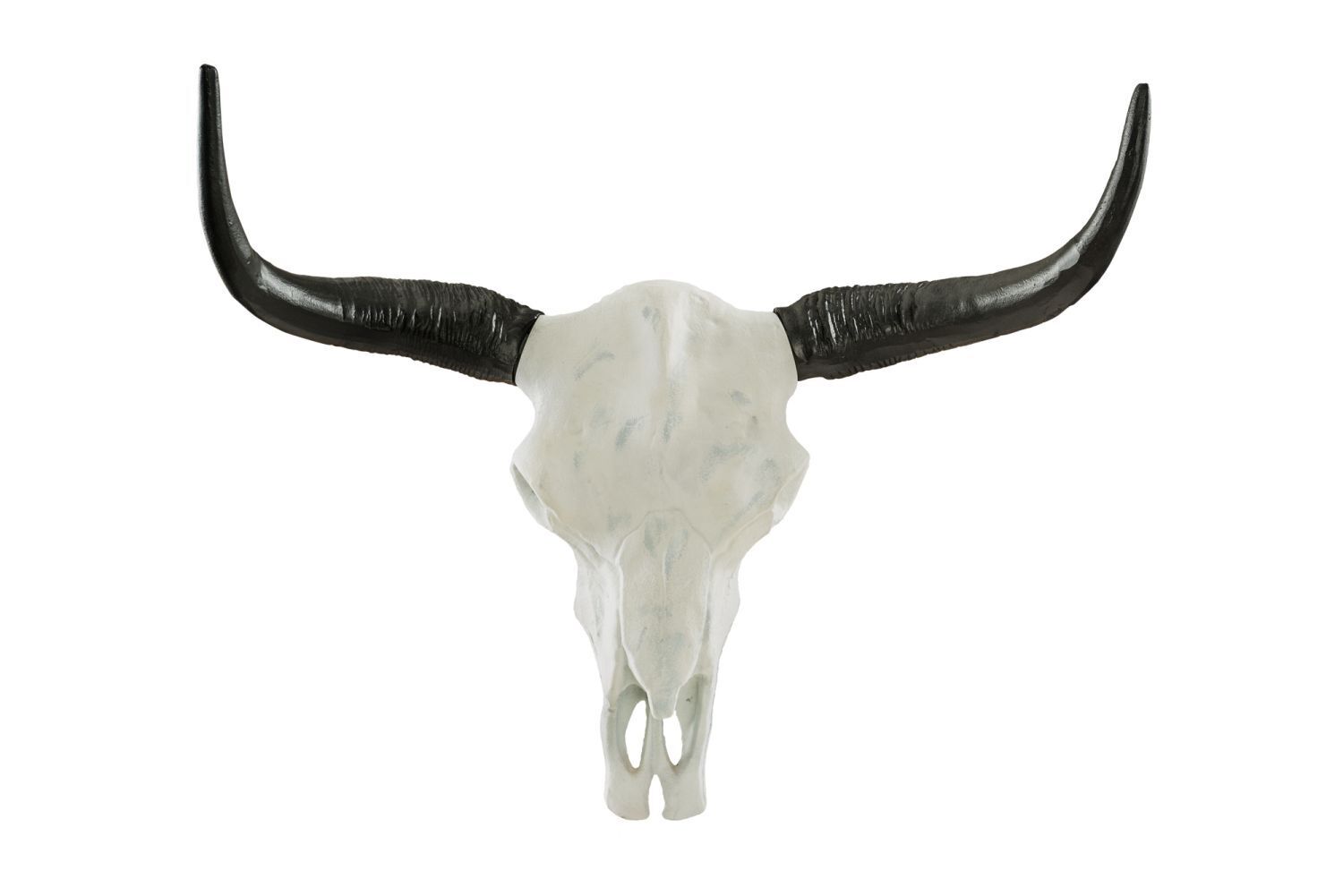 Sculpture murale en aluminium Crâne de buffle 68 cm en blanc noir Rinder, Vieh, Langhorn, Säugetier, Stier