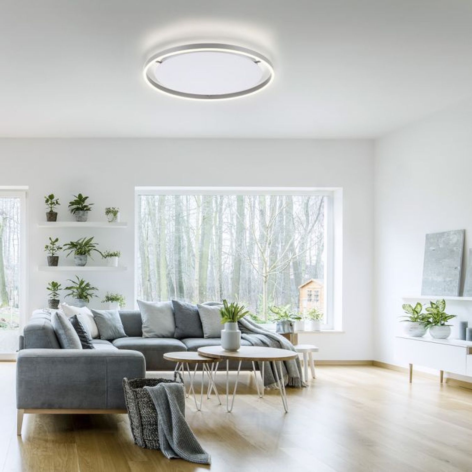 LED Deckenlampe dimmbar Aluminium Ø58,5 cm 3650 lm 28 W Dekoration für Zuhause, Pflanze, Couch, Mobiliar