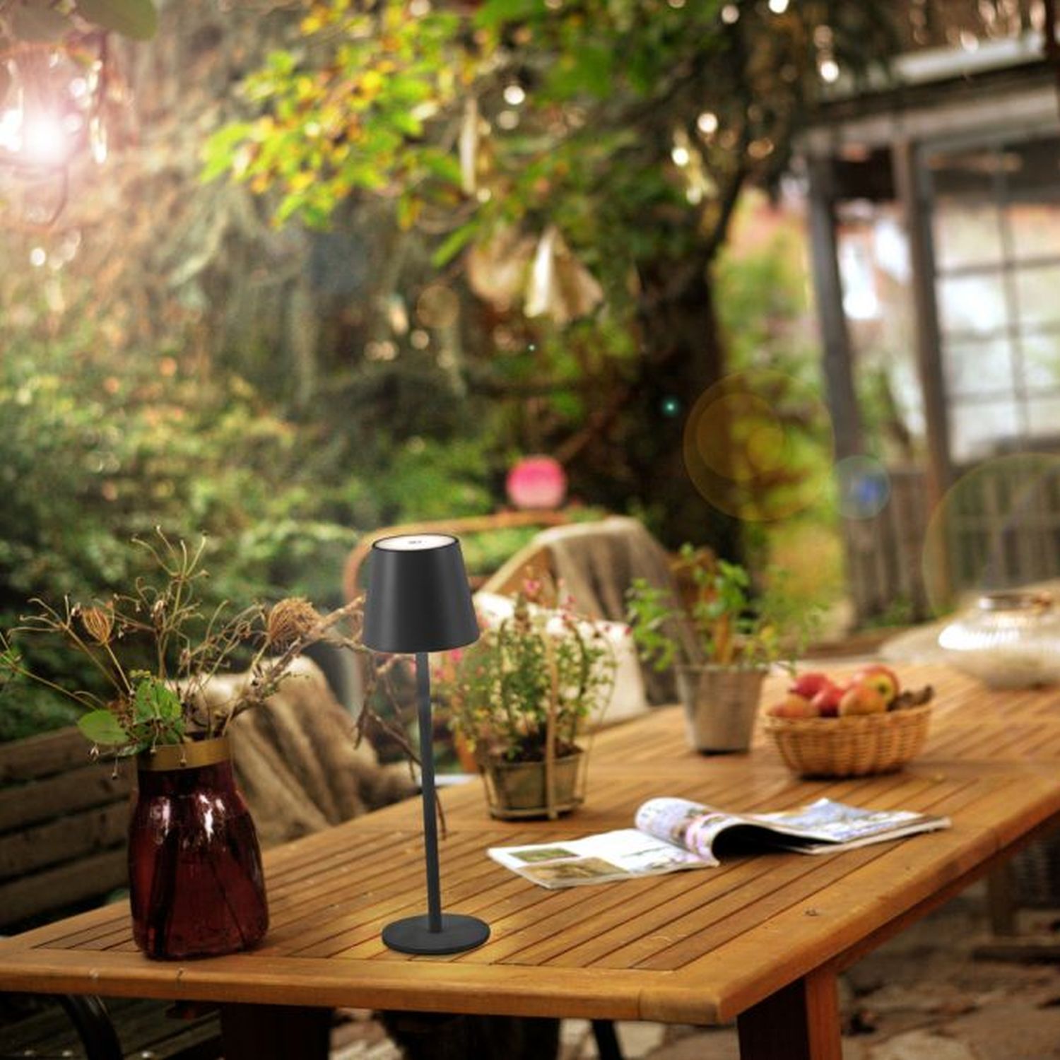 Lampe, Tabelle, Tischplatte, Esstisch, Pflanze