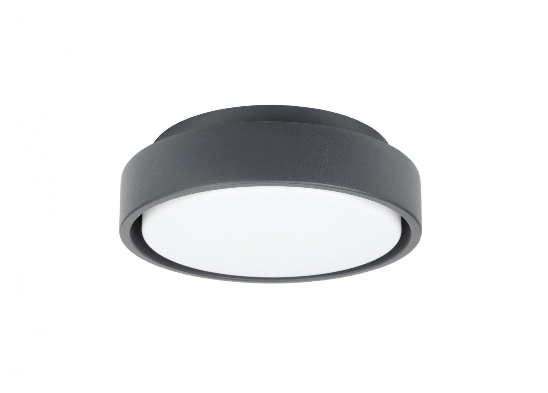 Applique LED ronde aluminium IP65 18 W 4000 K Ø20 cm