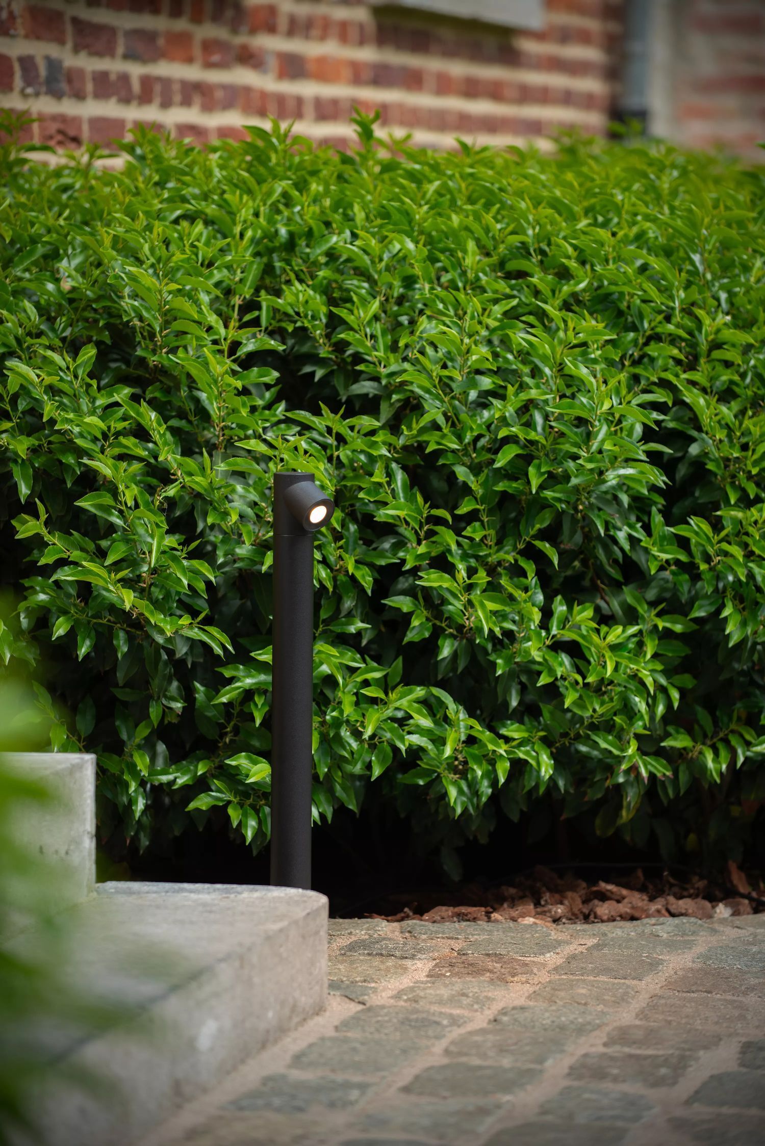 Pfad, Gehweg, Steinplatte, Bewuchs, Hecke