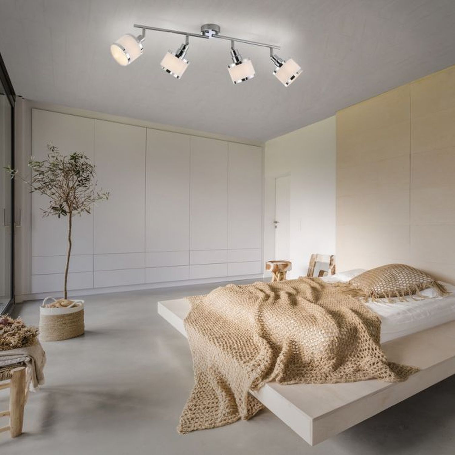 Dekoration für Zuhause, Pflanze