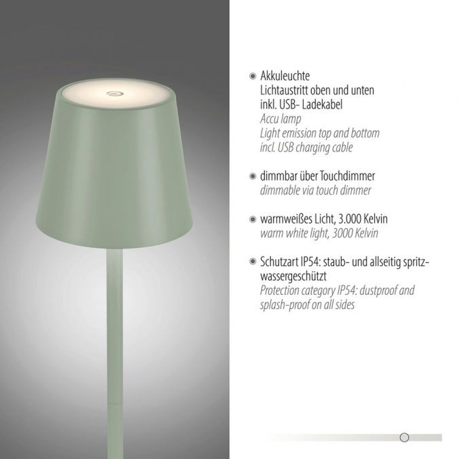 Lampe, Lampenschirm
