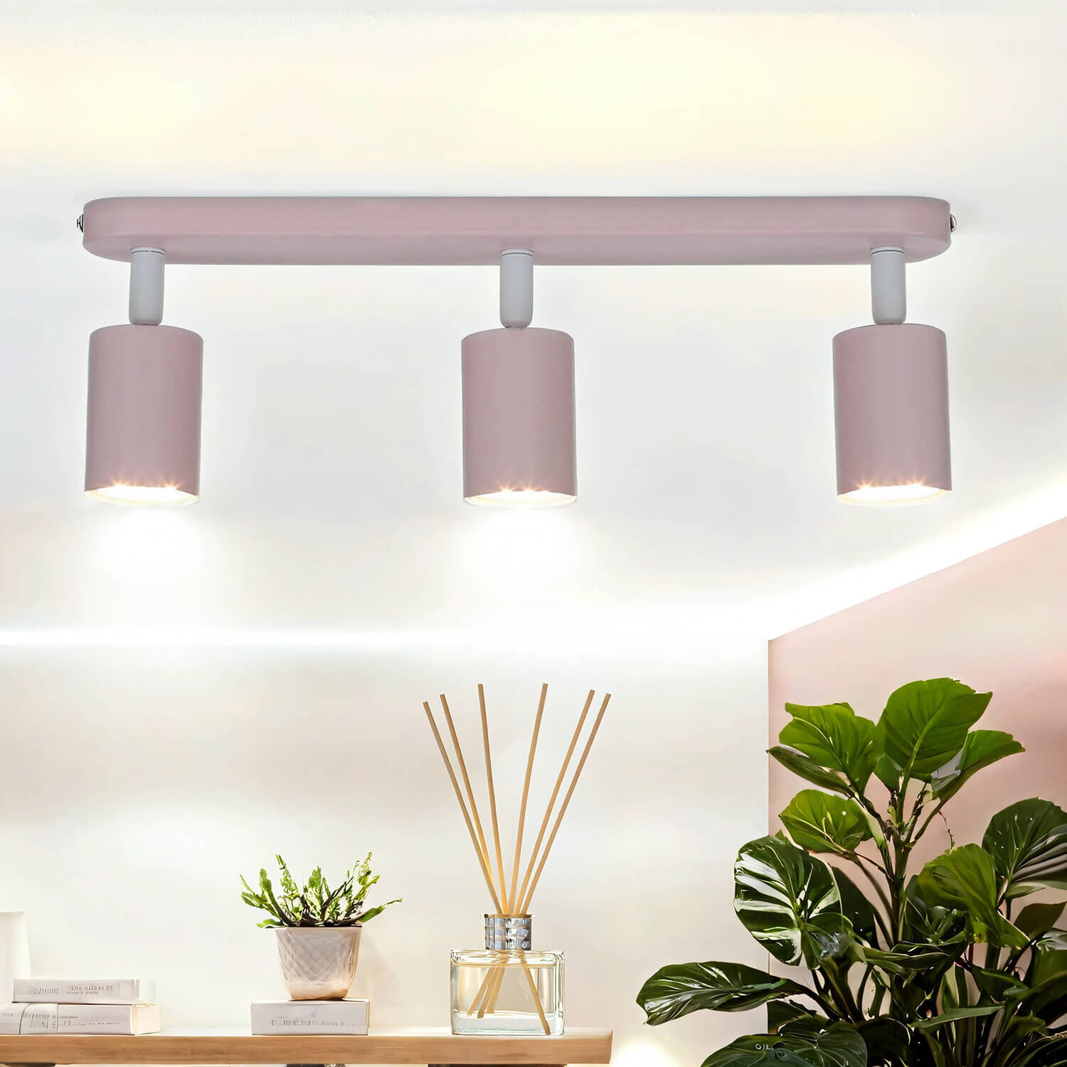 Pflanze, Deckenleuchte, Topfpflanze, Lampe, Leuchte