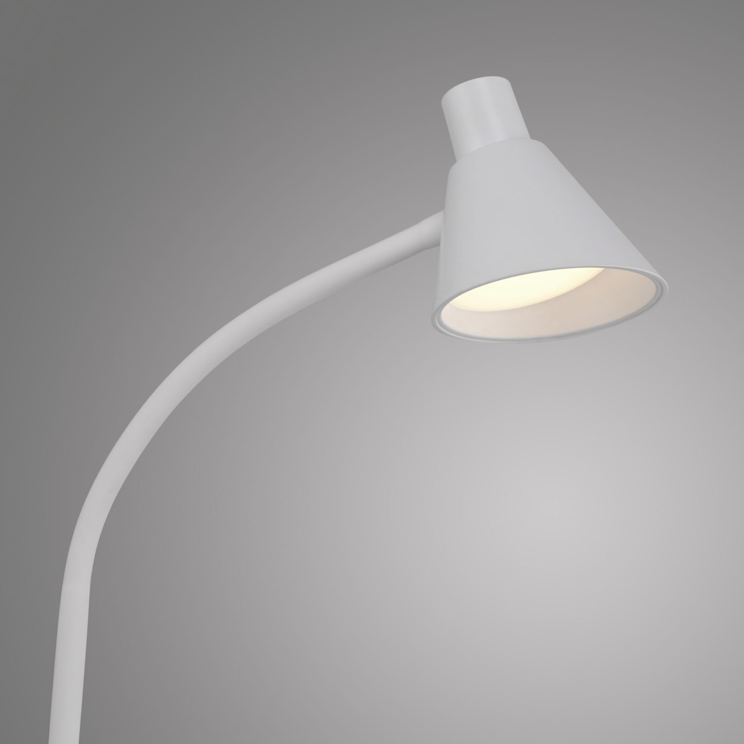 Lampe, Lampenschirm